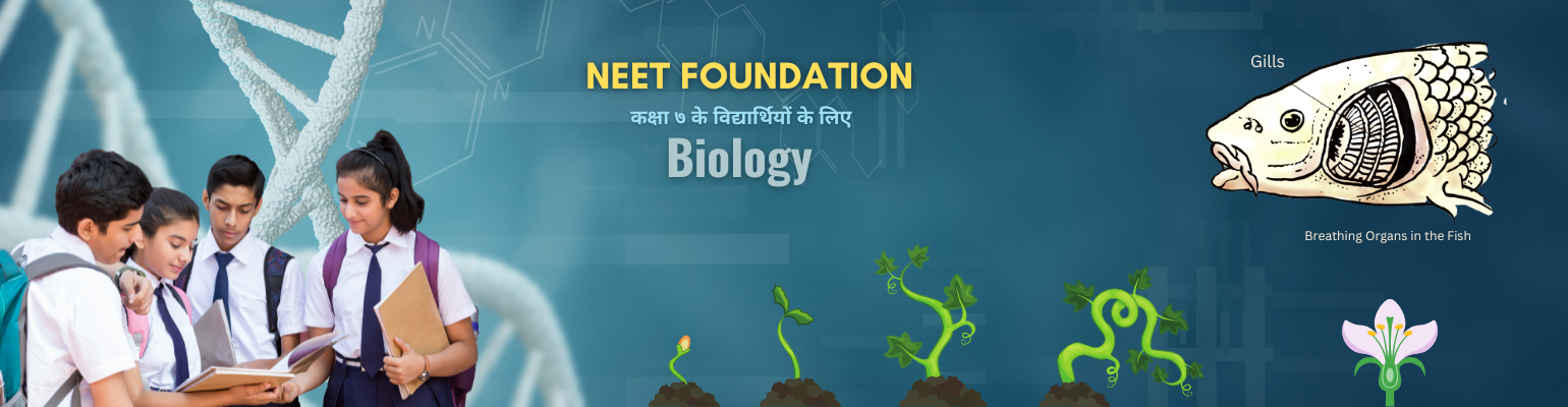 07BCFABClass 7 - Biology Banner 2.png | 